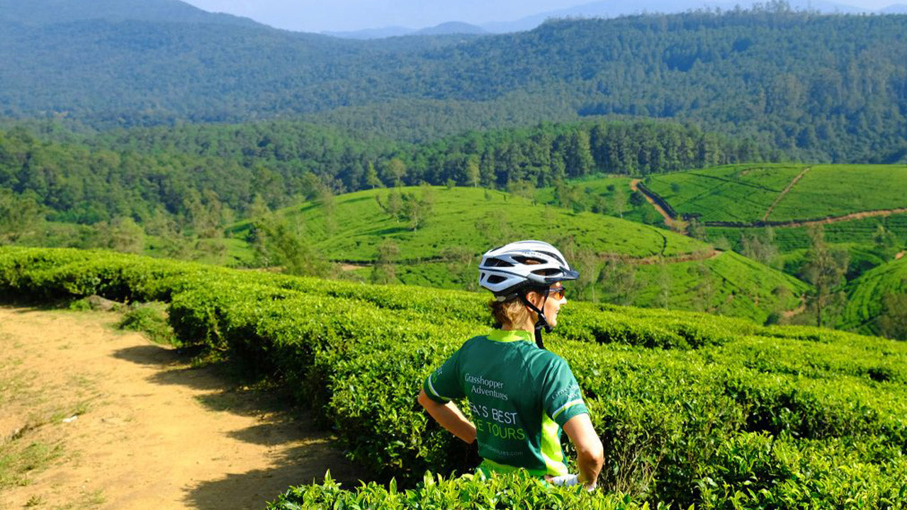 Excursion à vélo dans les hautes terres de Nuwara Eliya au départ de Kandy